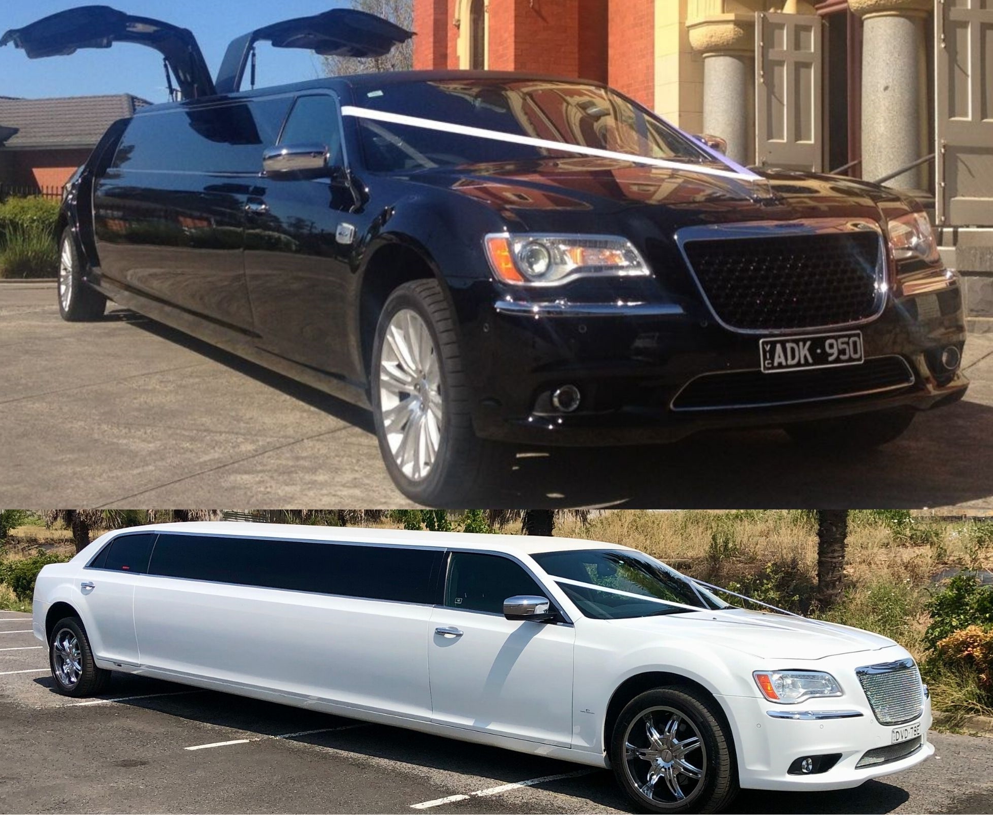 Night Owl Limousines